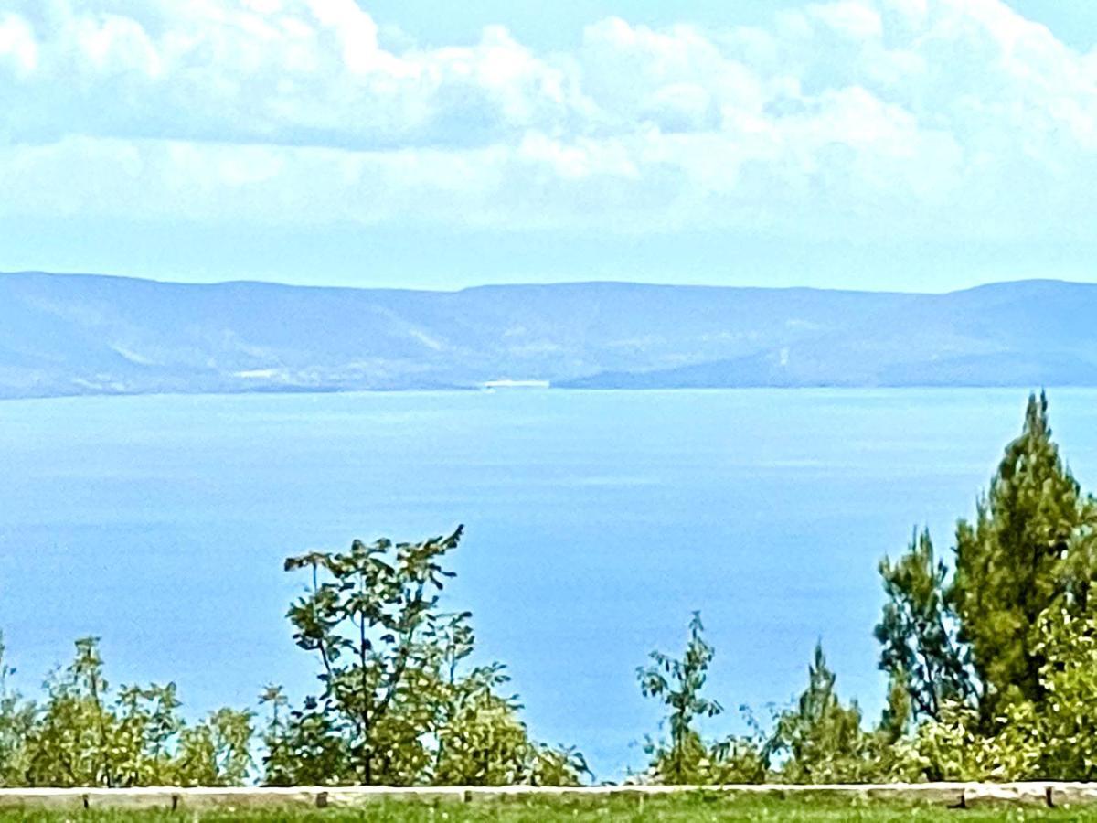 Luxury Panorama Vila With Amazing Seaview In Gondolici 7 Km From Rabac Labin  Exteriér fotografie