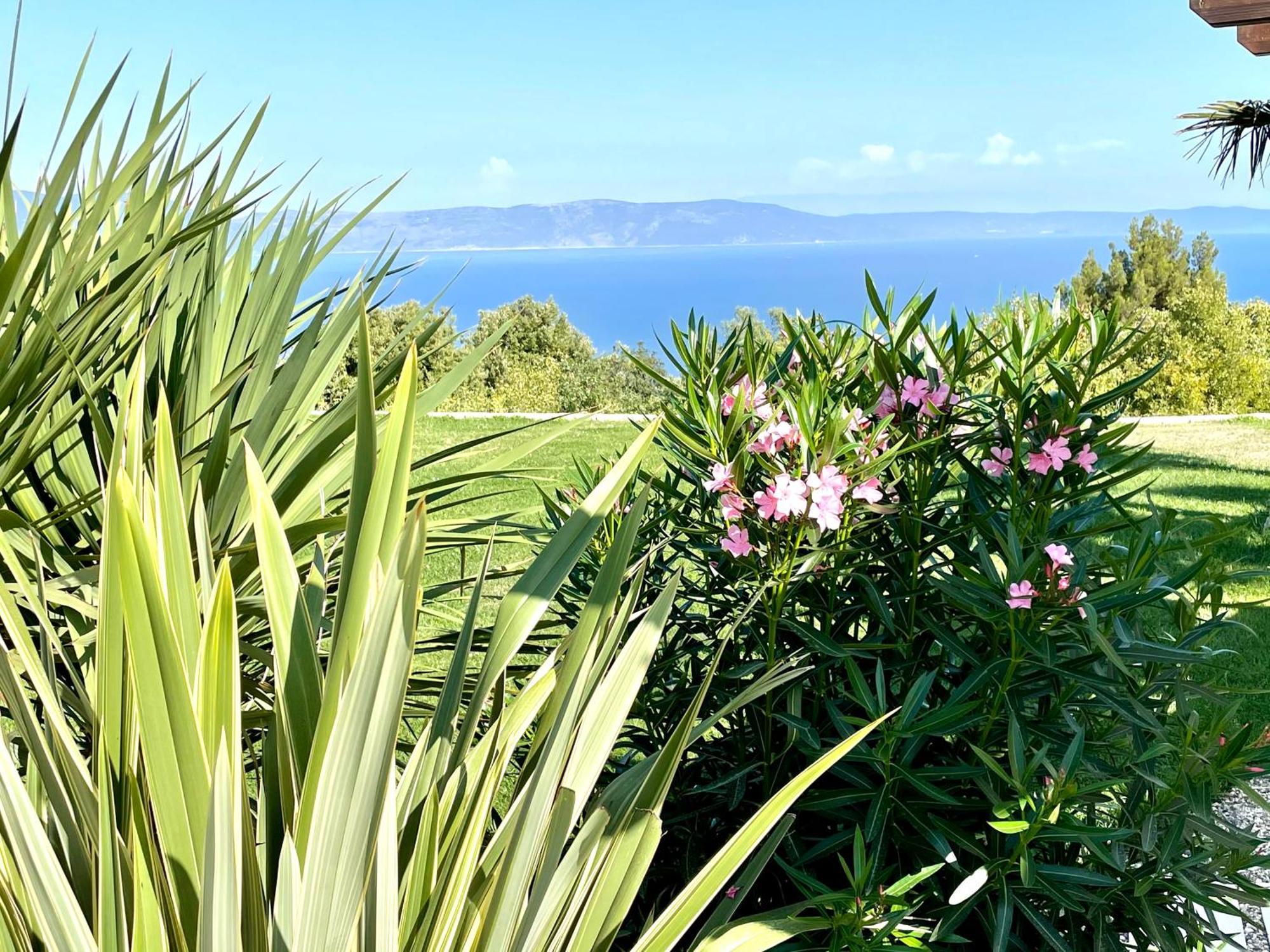 Luxury Panorama Vila With Amazing Seaview In Gondolici 7 Km From Rabac Labin  Exteriér fotografie
